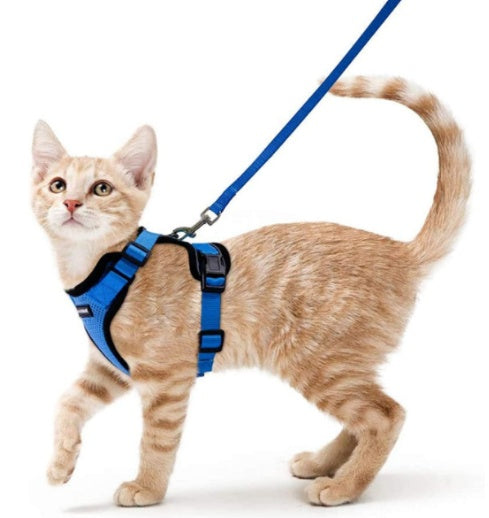 Pet Supplies Cats Breathable Chest Strap Reflective