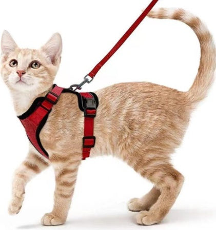 Pet Supplies Cats Breathable Chest Strap Reflective