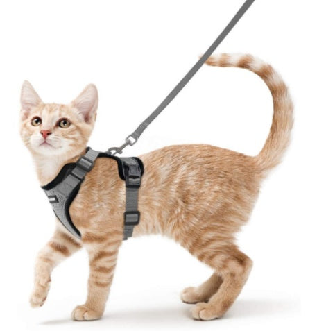 Pet Supplies Cats Breathable Chest Strap Reflective