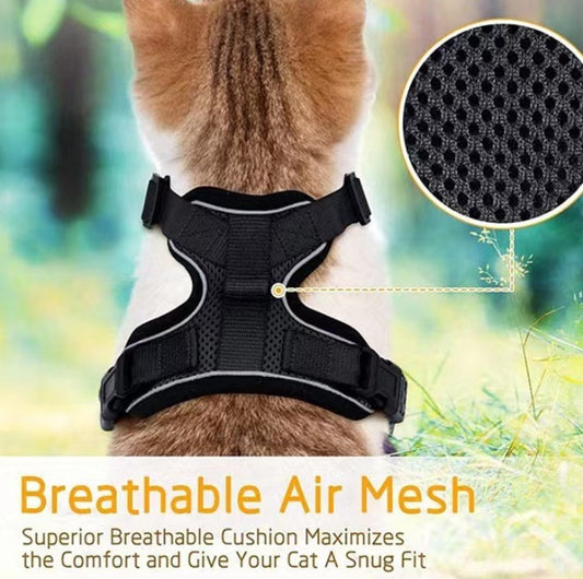 Pet Supplies Cats Breathable Chest Strap Reflective