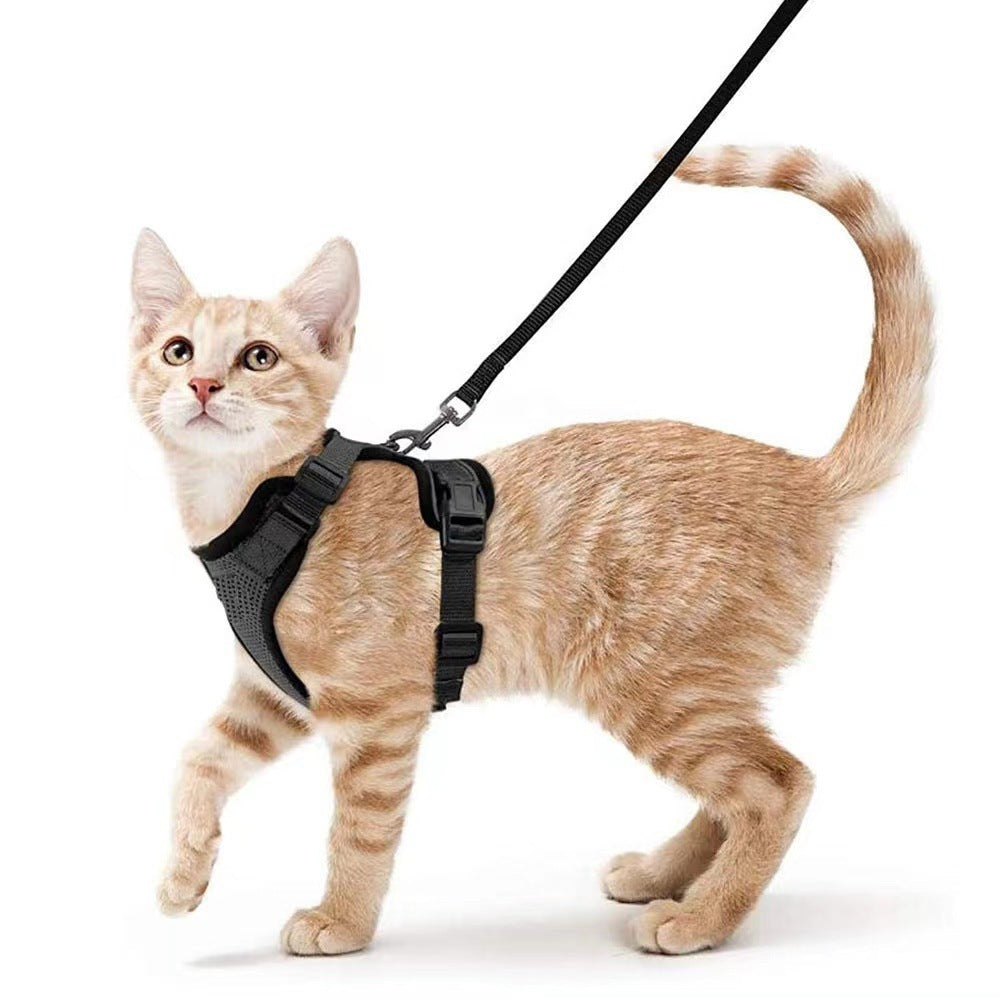 Pet Supplies Cats Breathable Chest Strap Reflective